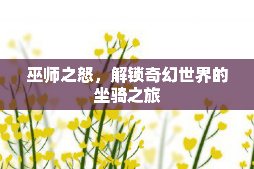 巫师之怒,解锁奇幻世界的坐骑之旅 巫师之怒,解锁奇幻世界的坐骑之旅