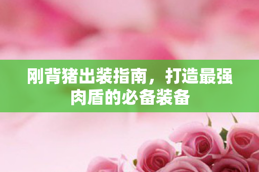 打造最强肉盾的必备装备图片