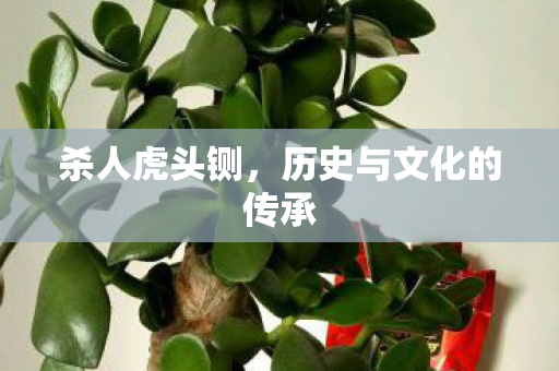 历史与文化的传承图片