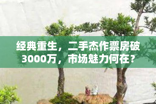 二手杰作票房破3000万图片