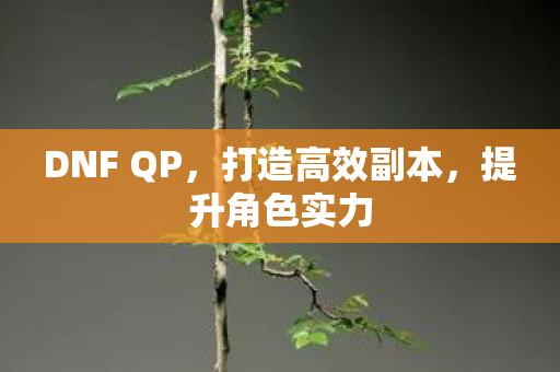 DNF QP图片