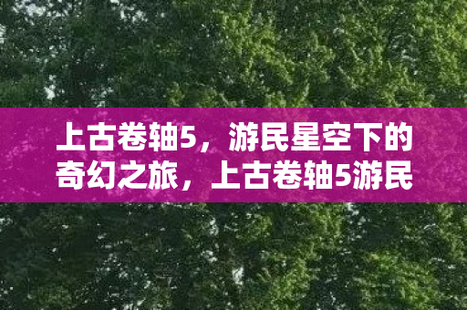 游民星空下的奇幻之旅图片