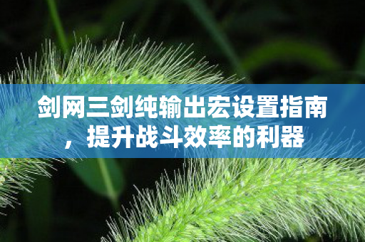 剑网三剑纯输出宏设置指南图片