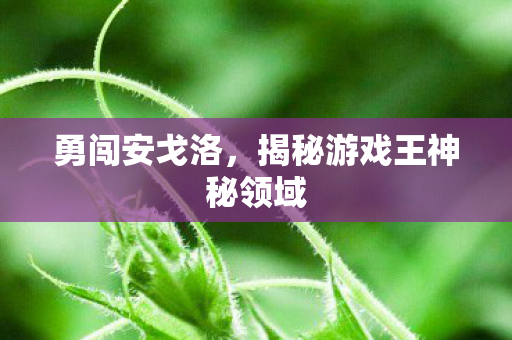 揭秘游戏王神秘领域图片