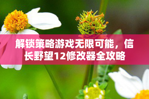信长野望12修改器全攻略图片