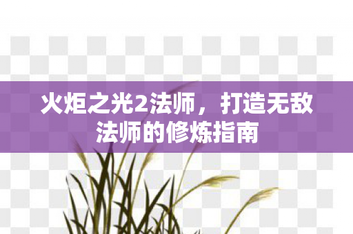 火炬之光2法师，打造无敌法师的修炼指南