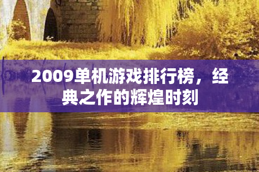 2009单机游戏排行榜图片