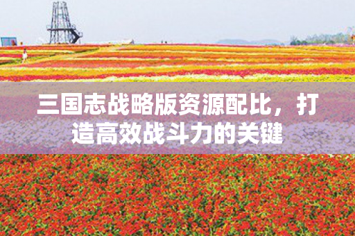 三国志战略版资源配比,打造高效战斗力的关键 三国志战略版资源配比,打造高效战斗力的关键