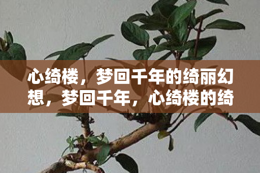 梦回千年的绮丽幻想图片