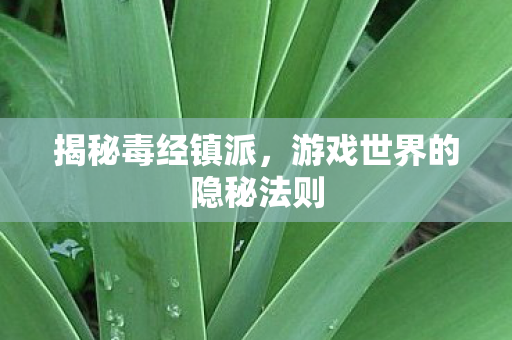 游戏世界的隐秘法则图片
