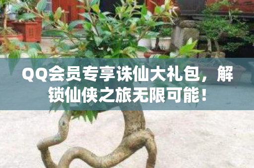 QQ会员专享诛仙大礼包图片