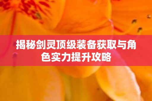 揭秘剑灵顶级装备获取与角色实力提升攻略图片