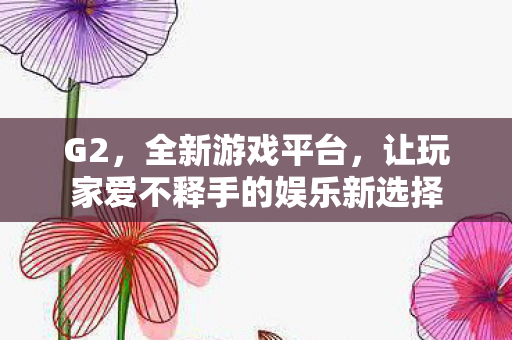 让玩家爱不释手的娱乐新选择图片