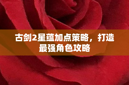 古剑2星蕴加点策略图片