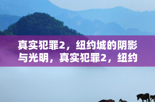 纽约城的阴影与光明交织图片