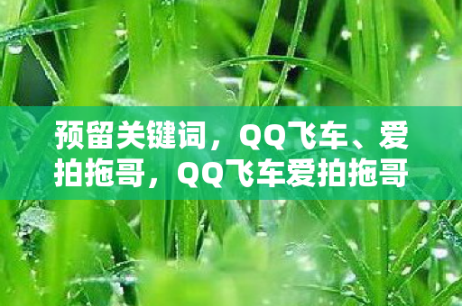 预留关键词,QQ飞车、爱拍拖哥,QQ飞车爱拍拖哥,打造个性化飞车体验,畅享速度与激情! 预留关键词,QQ飞车、爱拍拖哥,QQ飞车爱拍拖哥,打造个性化飞车体验,畅享速度与激情!