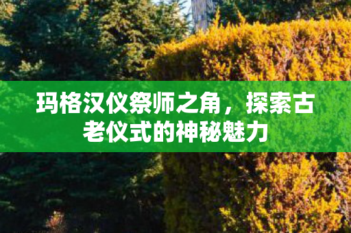 探索古老仪式的神秘魅力图片