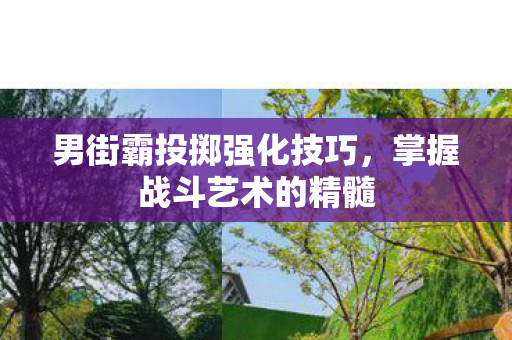 男街霸投掷强化技巧图片