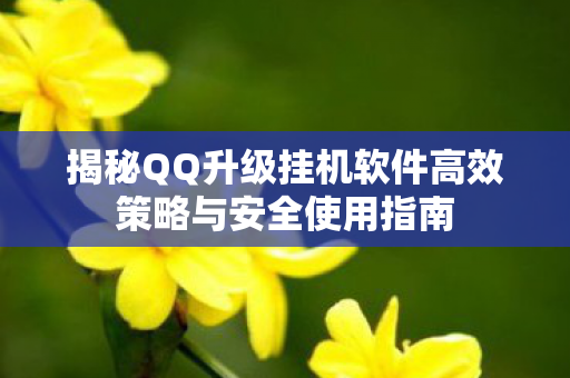 揭秘QQ升级挂机软件高效策略与安全使用指南图片