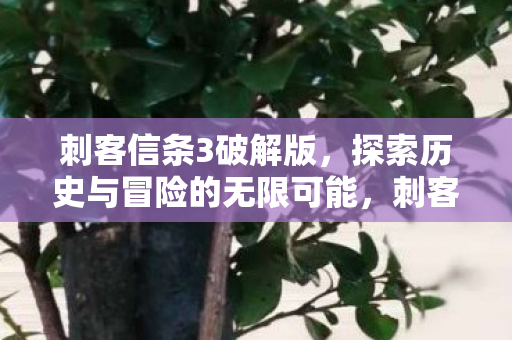 探索历史与冒险的无限可能图片