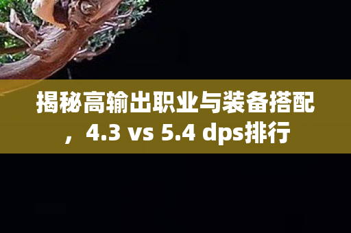 揭秘高输出职业与装备搭配图片