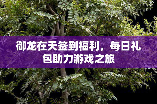 每日礼包助力游戏之旅图片