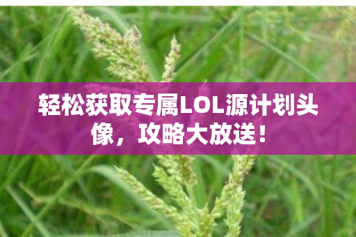 轻松获取专属LOL源计划头像图片