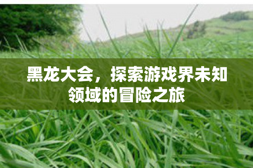 探索游戏界未知领域的冒险之旅图片