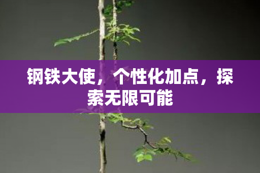 钢铁大使,个性化加点,探索无限可能 钢铁大使,个性化加点,探索无限可能