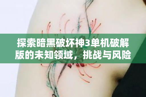 探索暗黑破坏神3单机破解版的未知领域图片