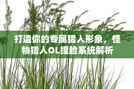 怪物猎人OL捏脸系统解析图片