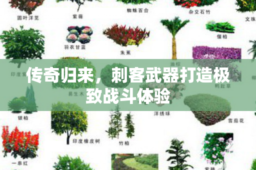 刺客武器打造极致战斗体验图片