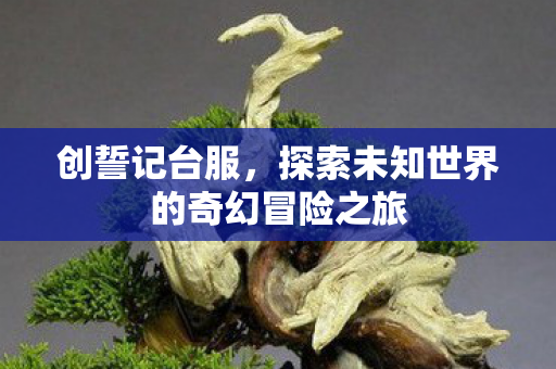 探索未知世界的奇幻冒险之旅图片