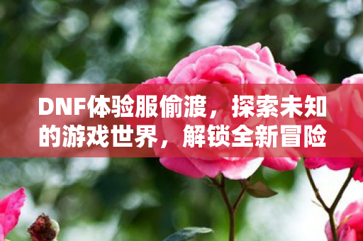探索未知的游戏世界图片