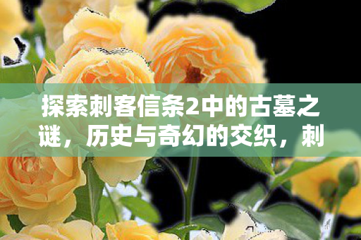 历史与奇幻交织的古墓之谜探索图片