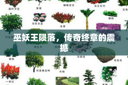 传奇终章的震撼图片