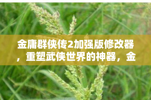 金庸群侠传2加强版修改器图片