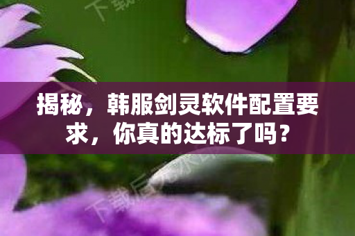 韩服剑灵软件配置要求图片