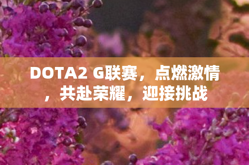DOTA2 G联赛,点燃激情,共赴荣耀,迎接挑战 DOTA2 G联赛,点燃激情,共赴荣耀,迎接挑战