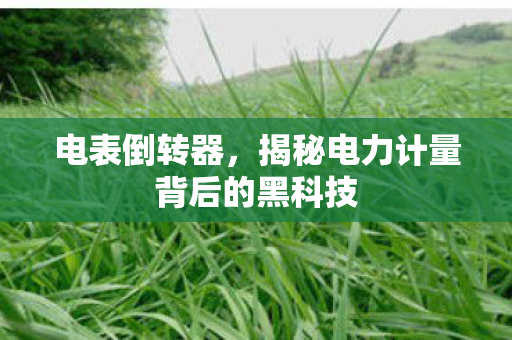 电表倒转器,揭秘电力计量背后的黑科技 电表倒转器,揭秘电力计量背后的黑科技