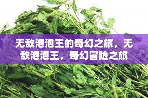 无敌泡泡王的奇幻之旅图片