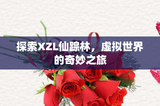 虚拟世界的奇妙之旅图片