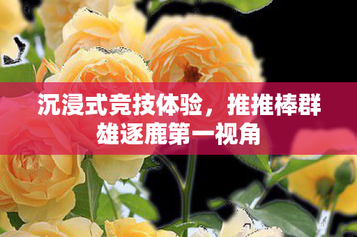 推推棒群雄逐鹿第一视角图片