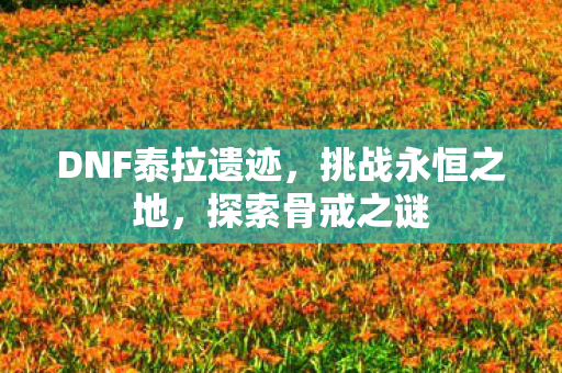DNF泰拉遗迹,挑战永恒之地,探索骨戒之谜 DNF泰拉遗迹,挑战永恒之地,探索骨戒之谜