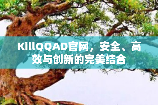 KillQQAD官网图片