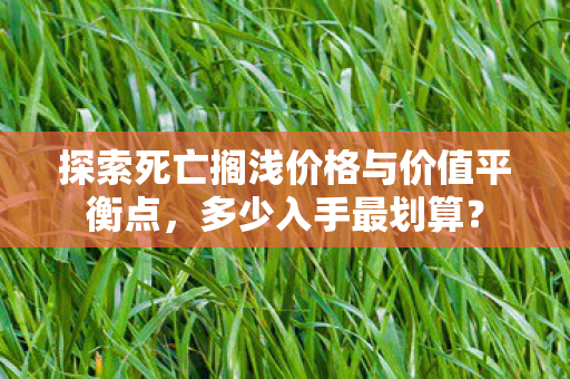 探索死亡搁浅价格与价值平衡点图片