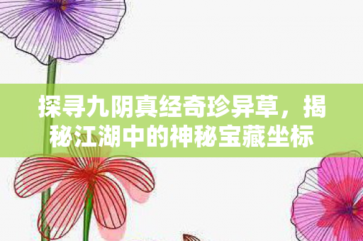 揭秘江湖中的神秘宝藏坐标图片