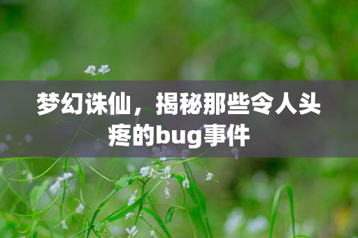 揭秘那些令人头疼的bug事件图片