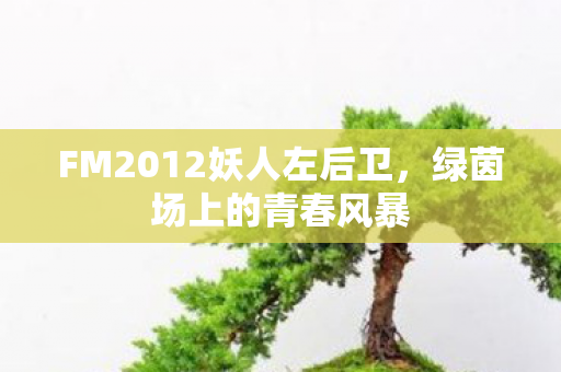 FM2012妖人左后卫图片