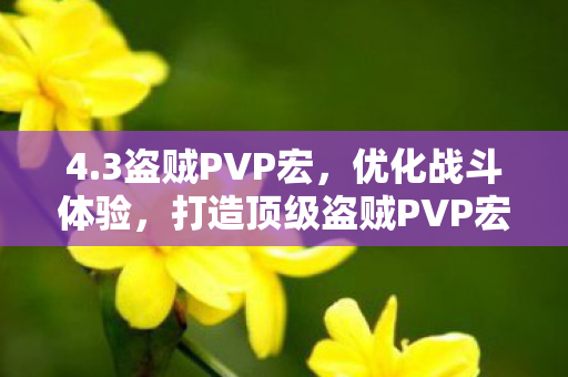 打造顶级盗贼PVP宏图片